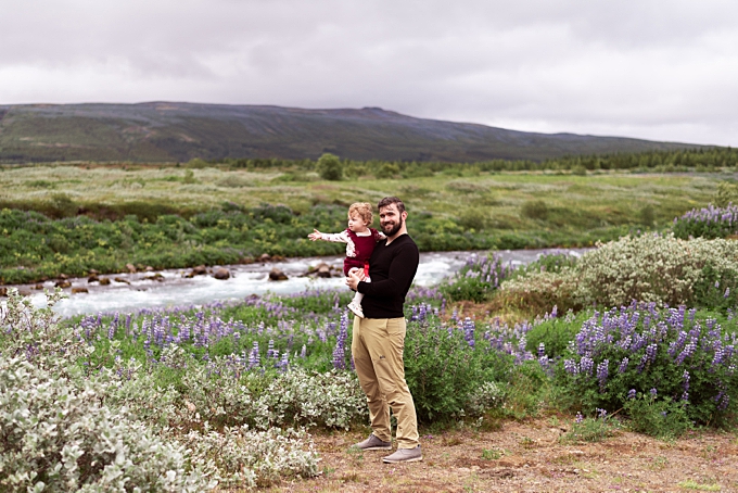 dad holds toddler daughter in iceland field with lupine flowers and stream
