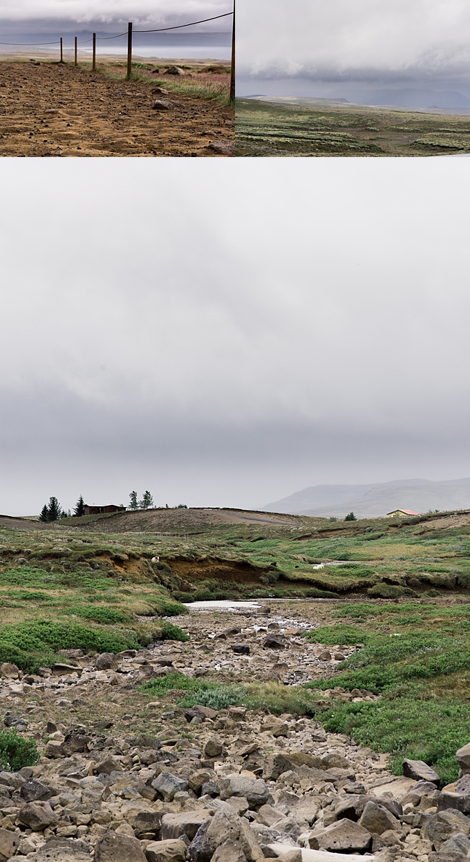landscape photography views of the icelandic country side and sheep farm 