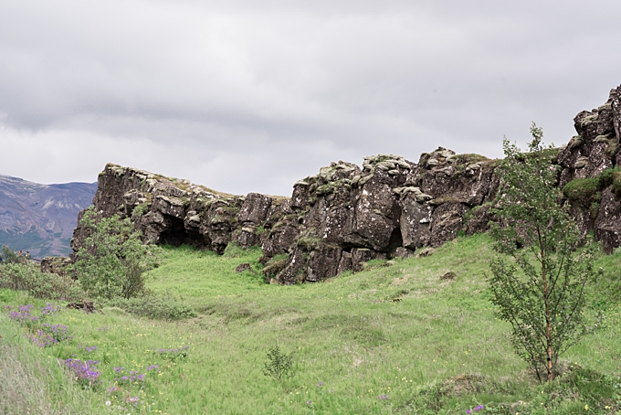 rock formations with greenery at thingvellir national park landscape photography