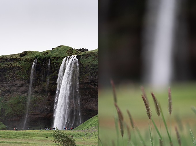 seljalandsfoss waterfall and blades of grass details in iceland 