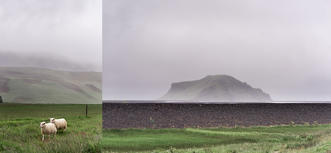 foggy views of icelandic countryside landscape photography 