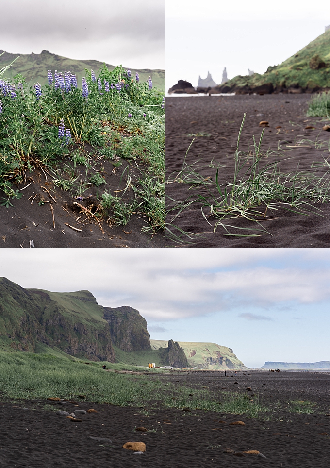 landscape photography views of the sand and grass at viks black sand beach