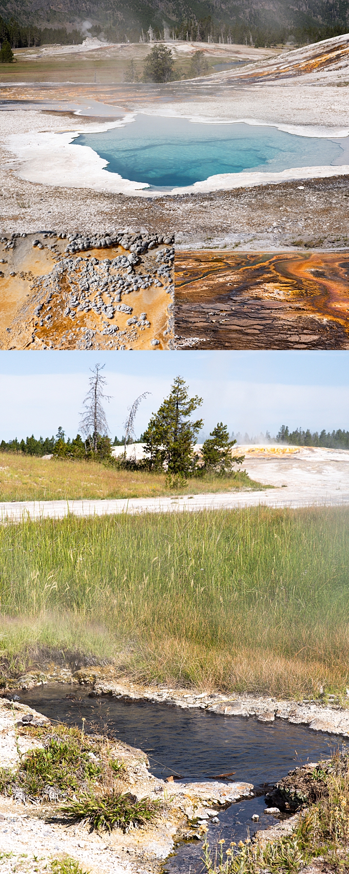 ohio photographer geothermal pools and blue and yellow details at yellowstone