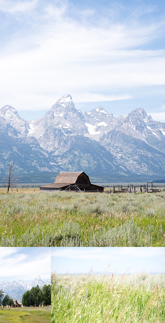 ohio photographer old homestead at mormon row in front of grand tetons with long grass blowing in the wind