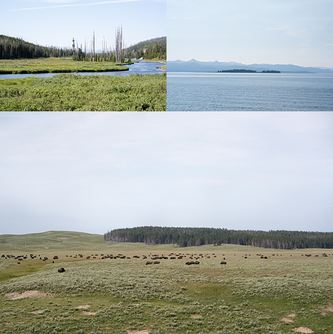 ohio photographer views of bison along hayden valley and winding rivers and lakes at yellowstone