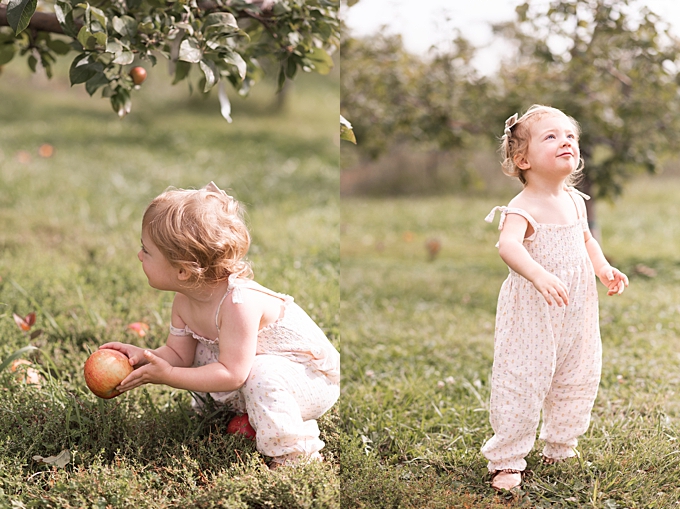 columbus baby photography baby girl plays in apple orchard