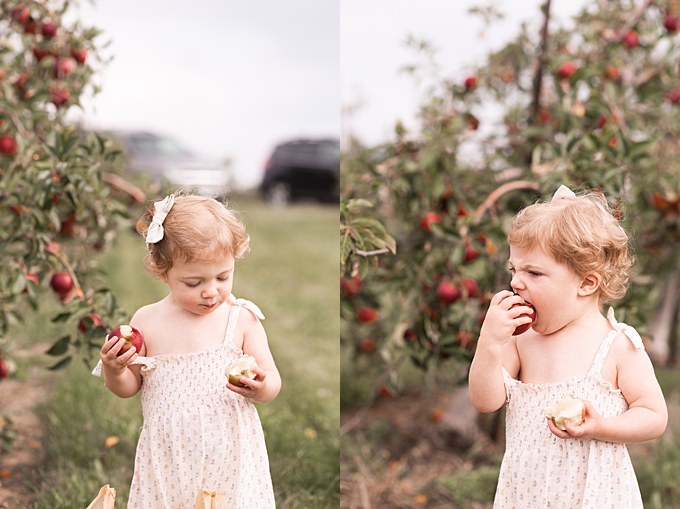 columbus baby photography toddler girl takes big bite of apple
