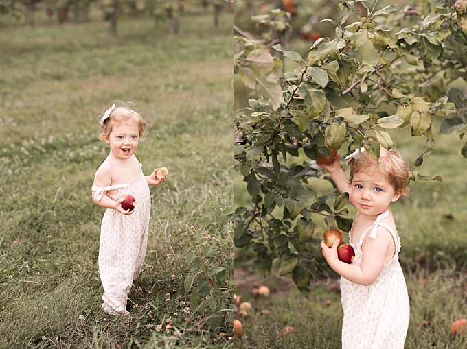 columbus baby photography baby girl collects apples while apple picking