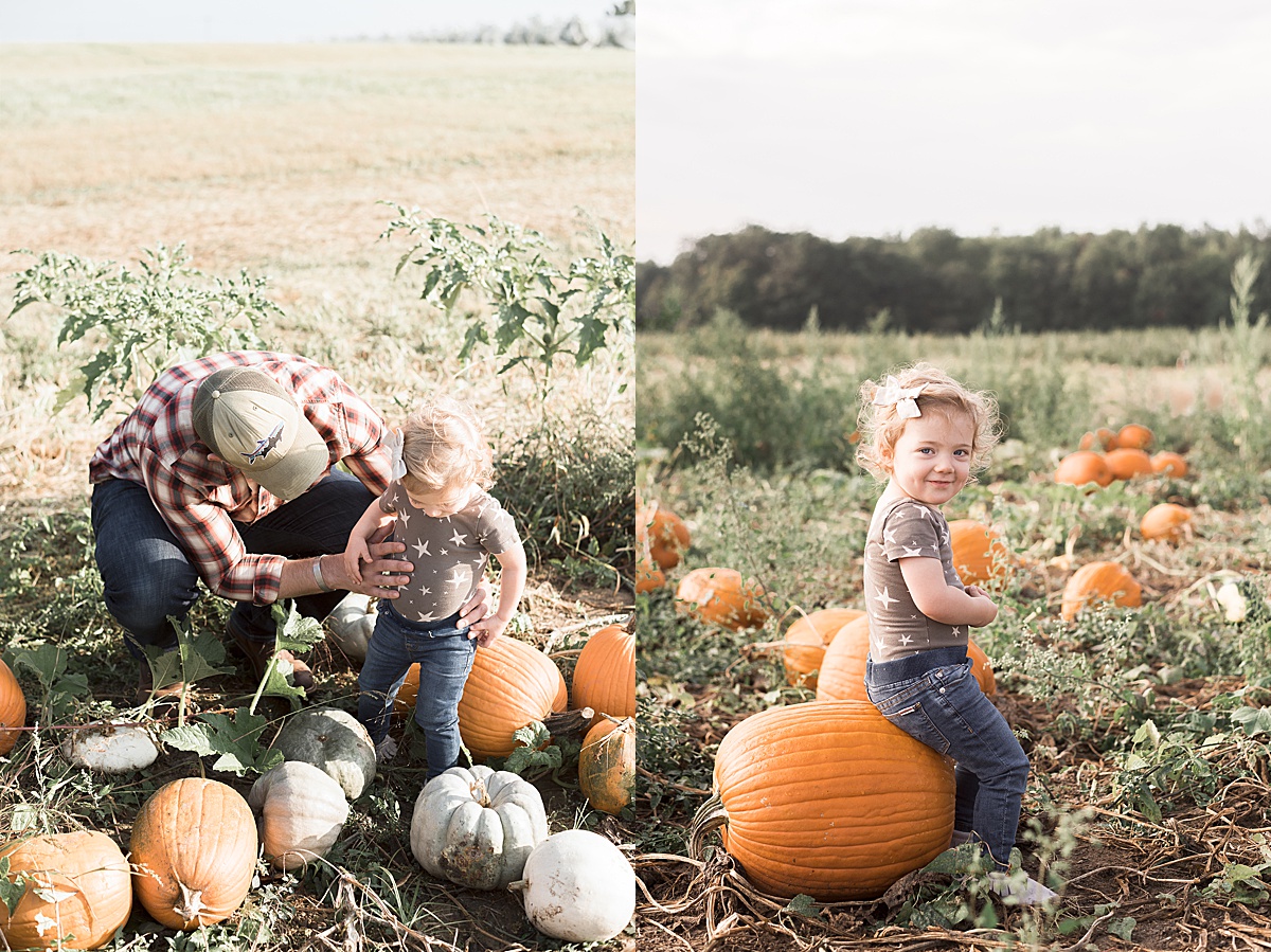 Columbus Lifestyle Family Photographer toddler girl sits and runs around pumpkin patch