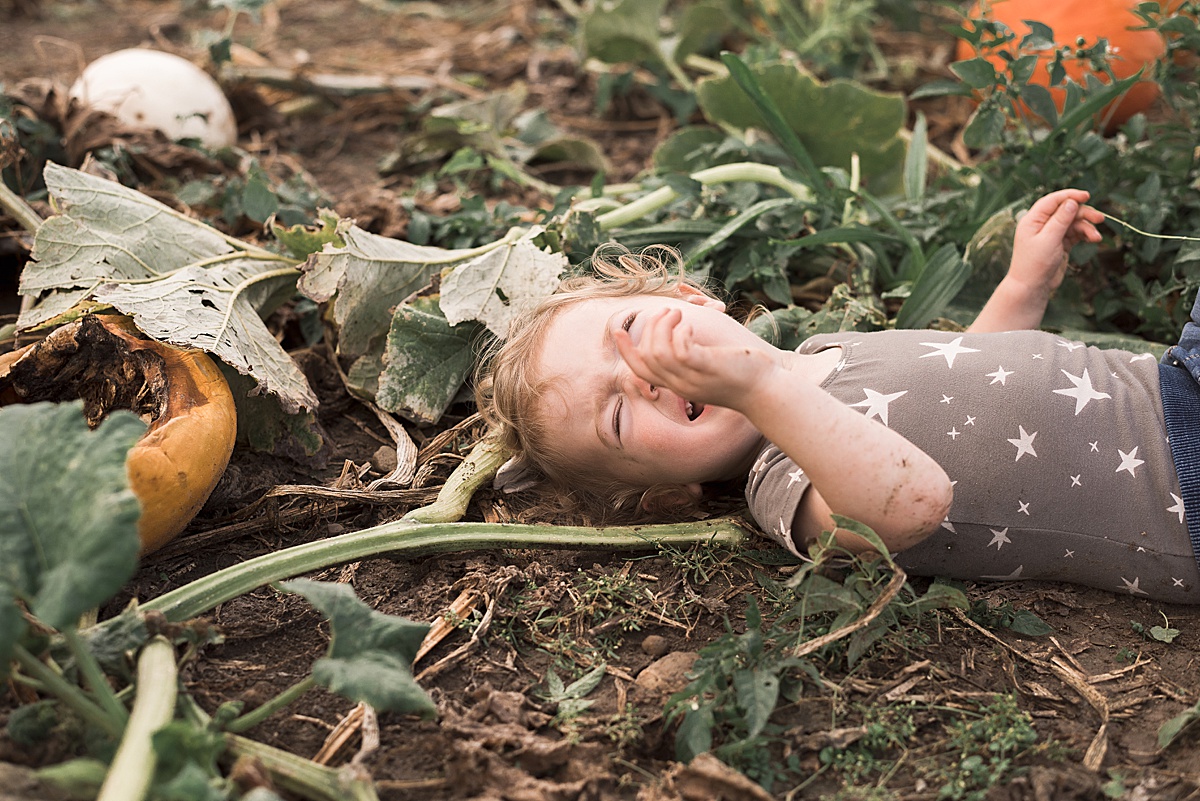 toddler throwing tantrum in pumpkin patch