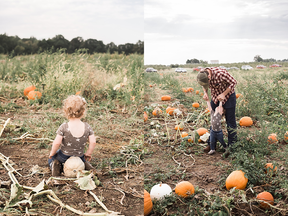 Columbus Lifestyle Family Photographer dad plays with daughter in pumpkin patch