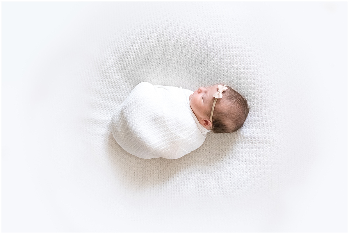 lifestyle newborn photography white background with swaddled newborn girl
