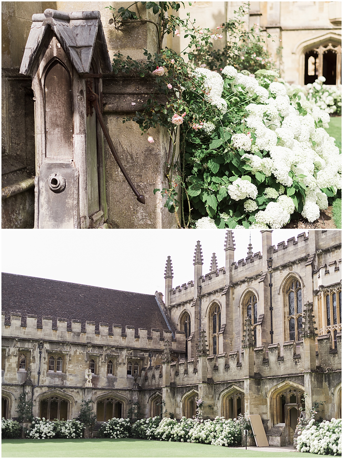 europe travel photographer florals along greenspace in magdalen college