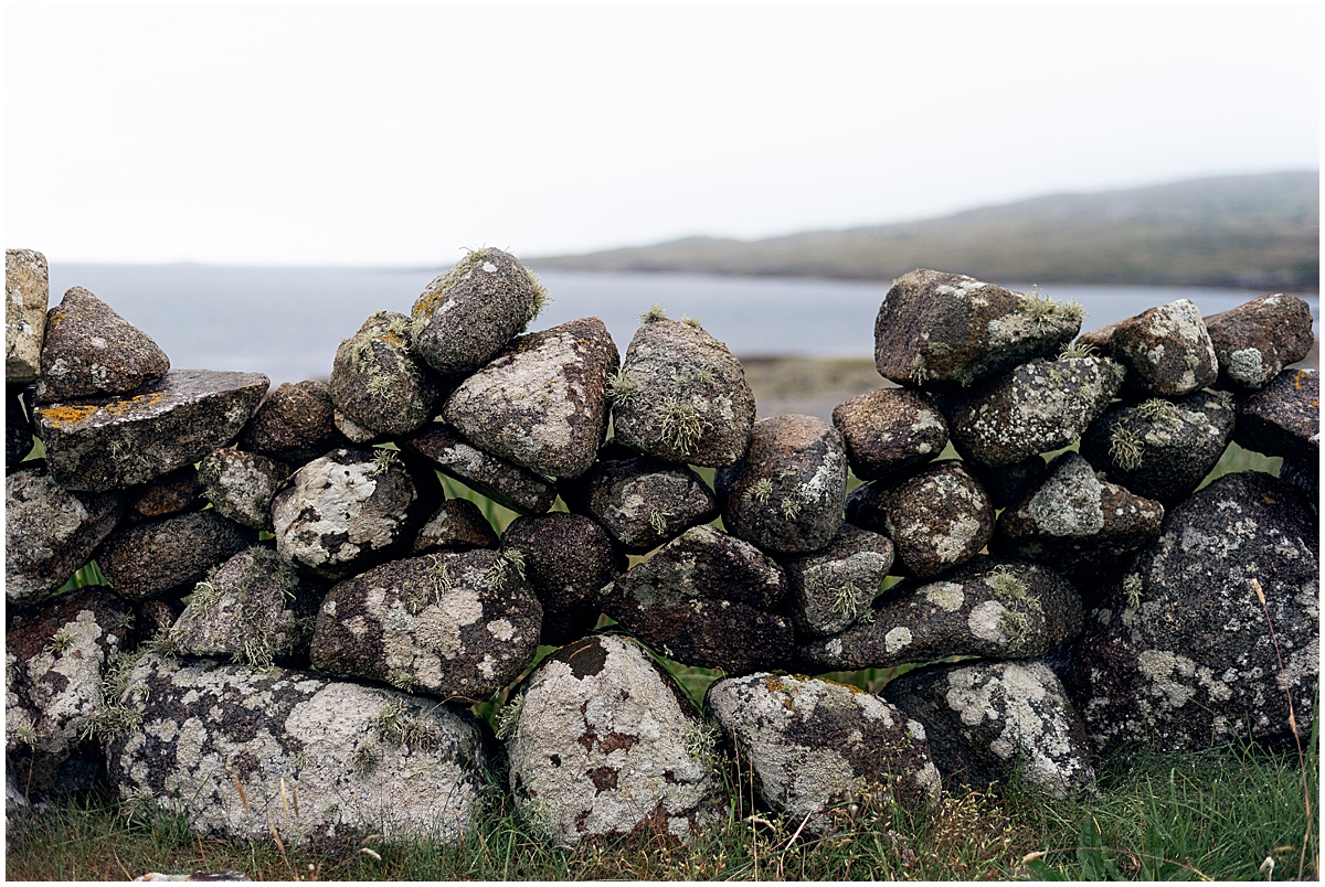 europe travel photographer rocks and moss in Ireland