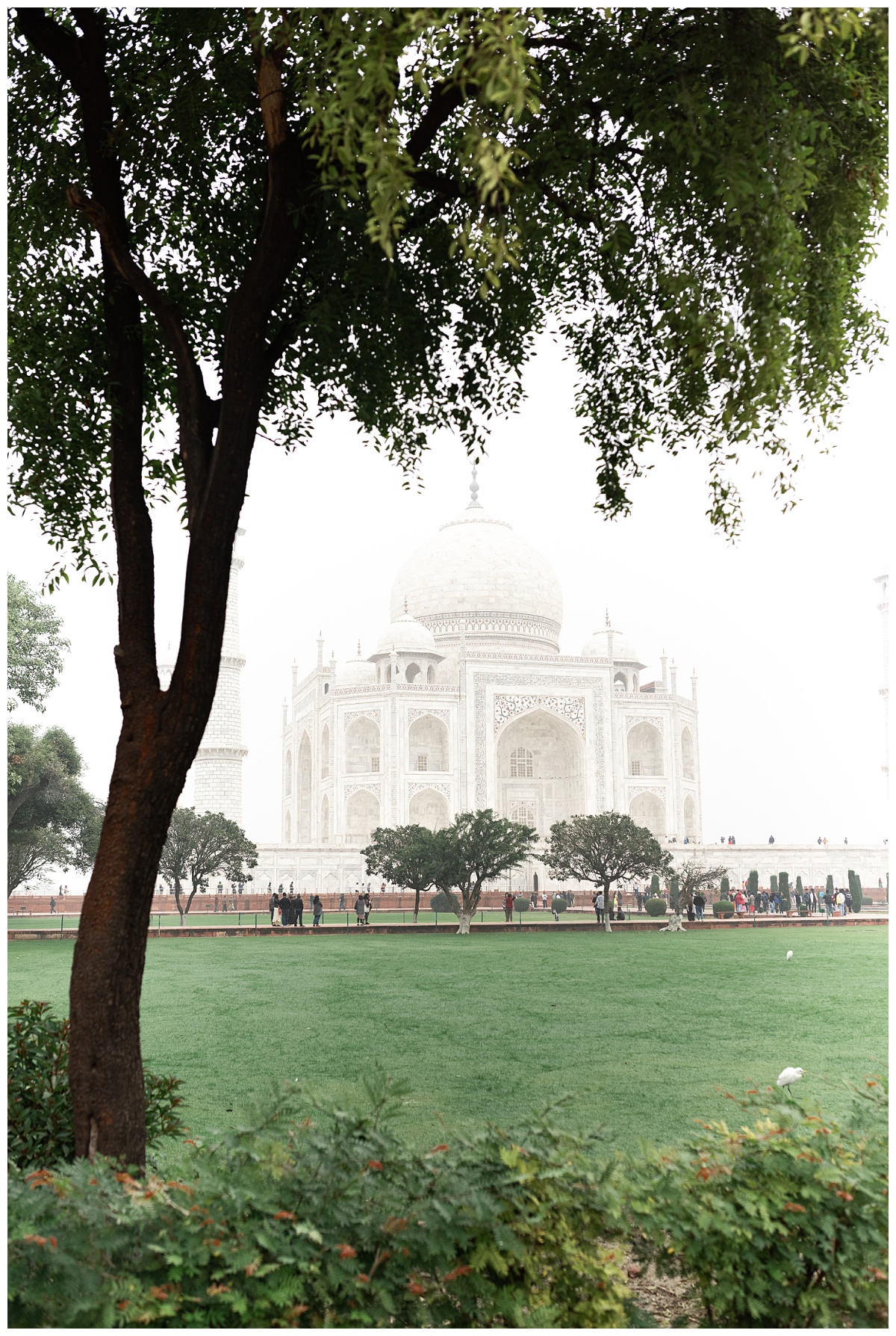 view of the taj mahal from the grounds