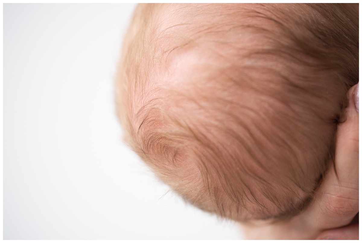 details of baby's hair in studio newborn session columbus