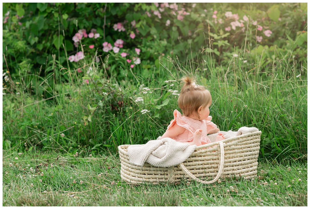 Family Photographers Columbus baby girl sits in moses basket and looks at pink and white wildflowers