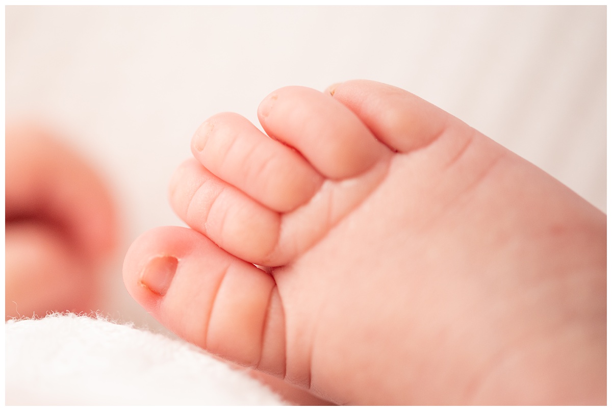 close up of newborn toes with white background